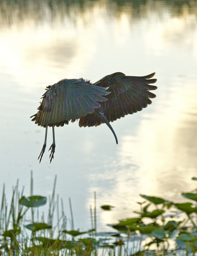 Final Approach