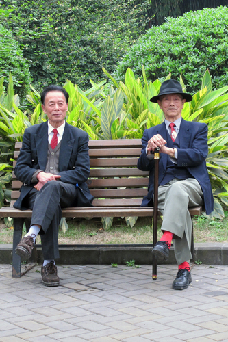 Benchmates, Chengdu Zoo, China