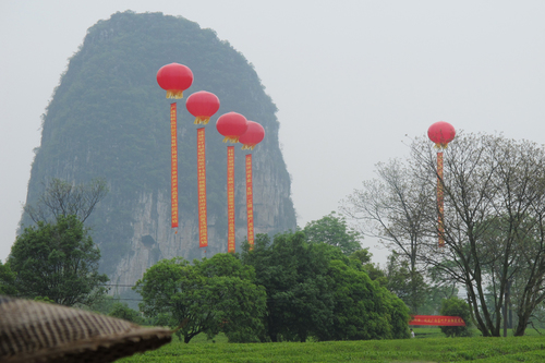 Chinese Tea Farm