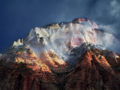 Zion Majesty