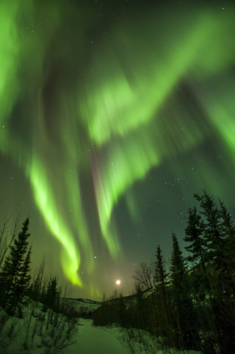 a_Setting Moon and Aurora, Chena Hot Springs Alaska