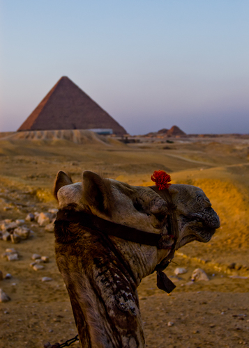 Tour of the Pyramids, Giza Egypt