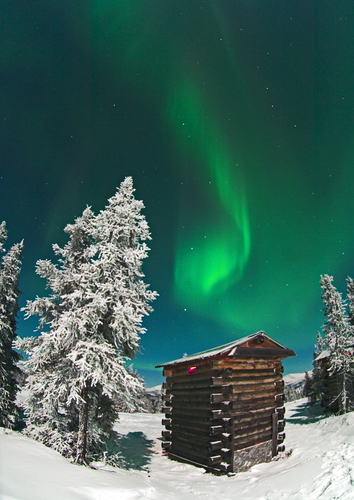 Well Lit Outhouse