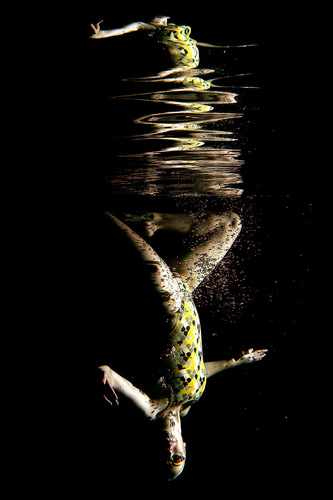 Syncro Swimmer