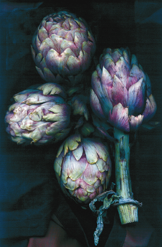 Artichoke