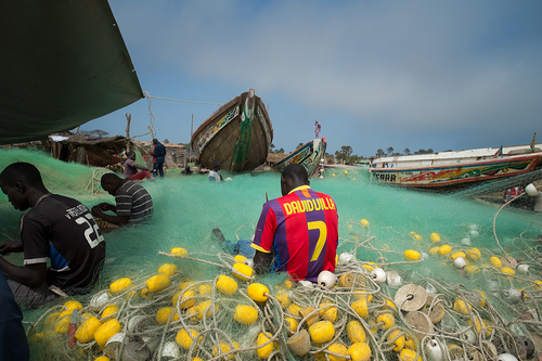 Mending the nets