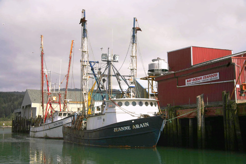 Docked Fishing Boats