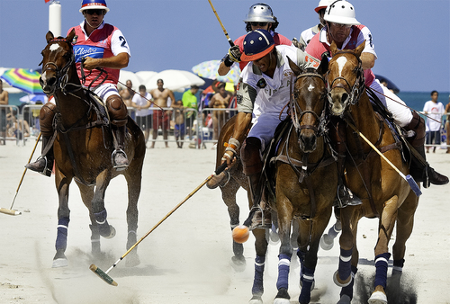 Polo at South Beach