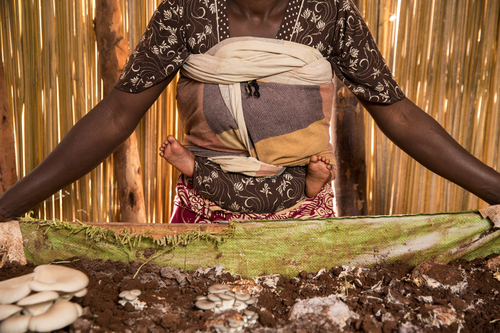 Rwanda Regenerating