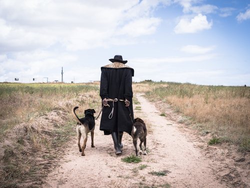 The leopard skin collared dog walker
