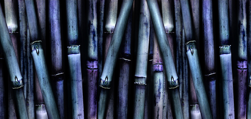 Bamboozled In Electric Blue