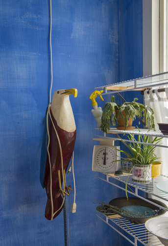 Blue Back Kitchen
