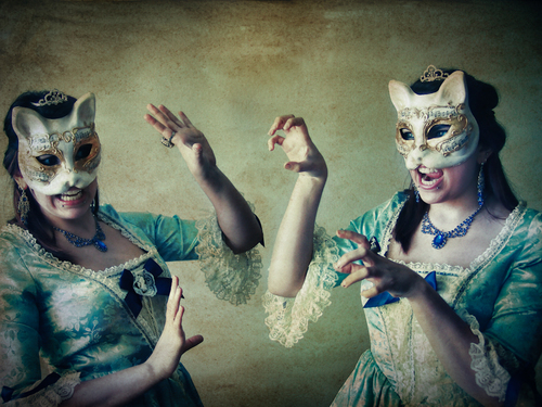 Combat de Chats