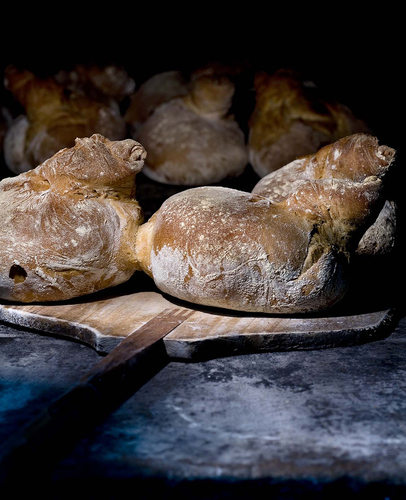 Bread