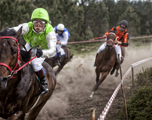 Winning Horse