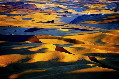 The Golden Fields