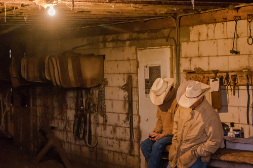 Adams Ranch Hands