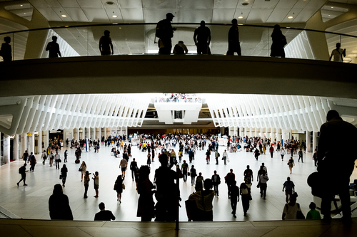 Oculus Silhouettes