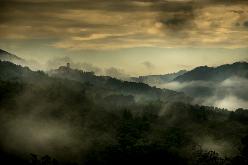 In to the fog