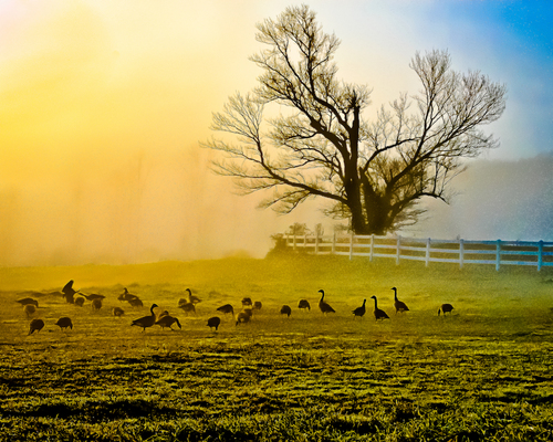 Colors of Dawn
