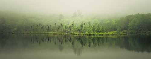 Silent Greens