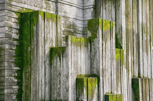 Concrete Garden
