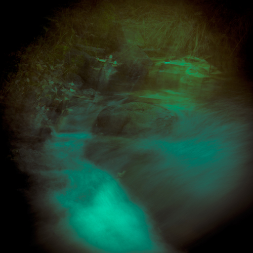 Deep in the forest