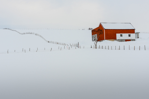 Red and White
