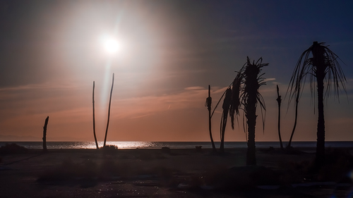 Revelation on Salton Beach