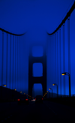 In The Mist