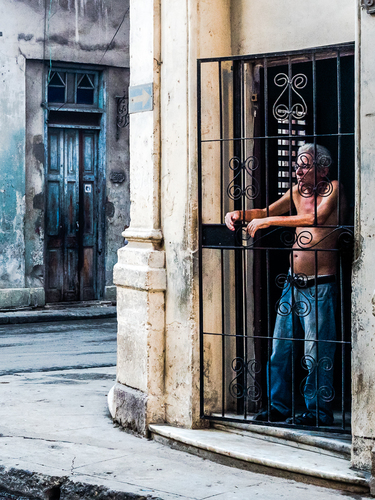 Havana's Zoo