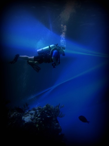 ocean beam