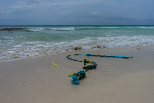 still beach 1