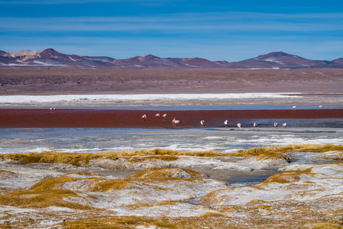 Lago Colorado, Bolivia