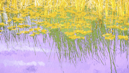 Reeds