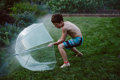 Lawn Warrior