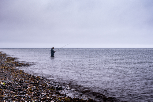 The Fisherman