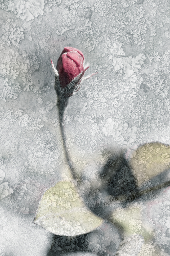 Impermanence 