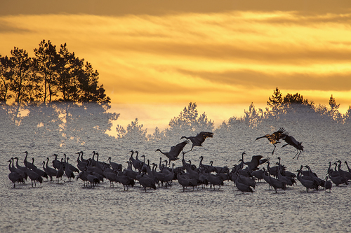 At Dawn