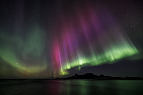 Aurora Red III