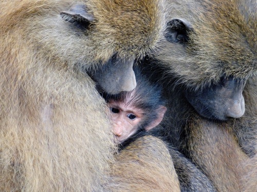 Lovingly
