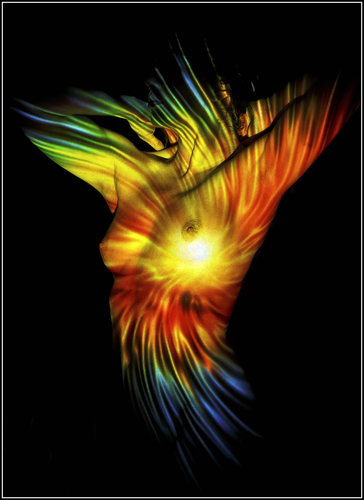 Amoeba