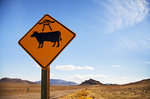 Aien Cow Sign UT
