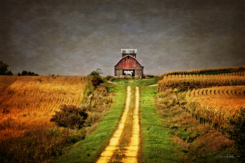 Barn Perspective Iowa