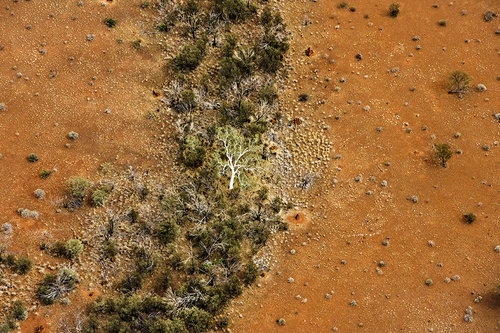 Ghost in the Desert
