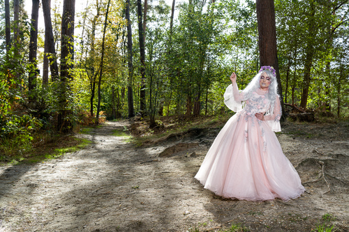Fairy