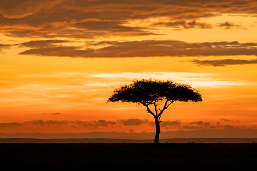 Mara Sunrise