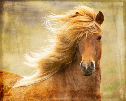 Blowin' in the Wind 