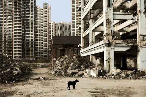 shanghai art district