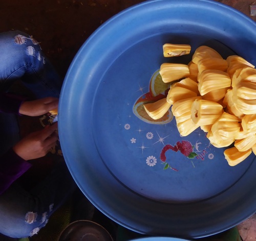 Jackfruit